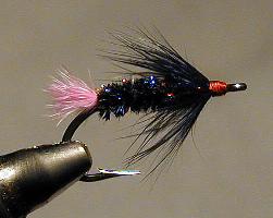 Gorman's Little Midnight / trout and steelhead fly fishing / McKenzie River fly fishing guide