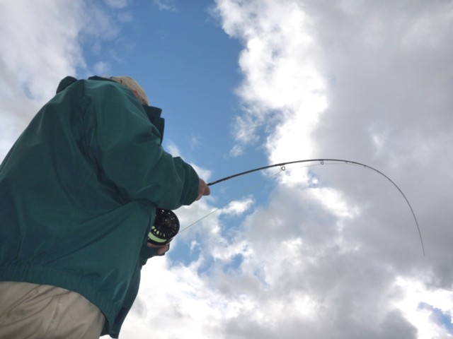 Feels Good! / Michael Gorman / McKenzie River Fishing Guide