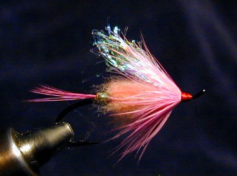 Gorman's Veiled Assassin / trout and steelhead fly fishing / McKenzie River fly fishing guide